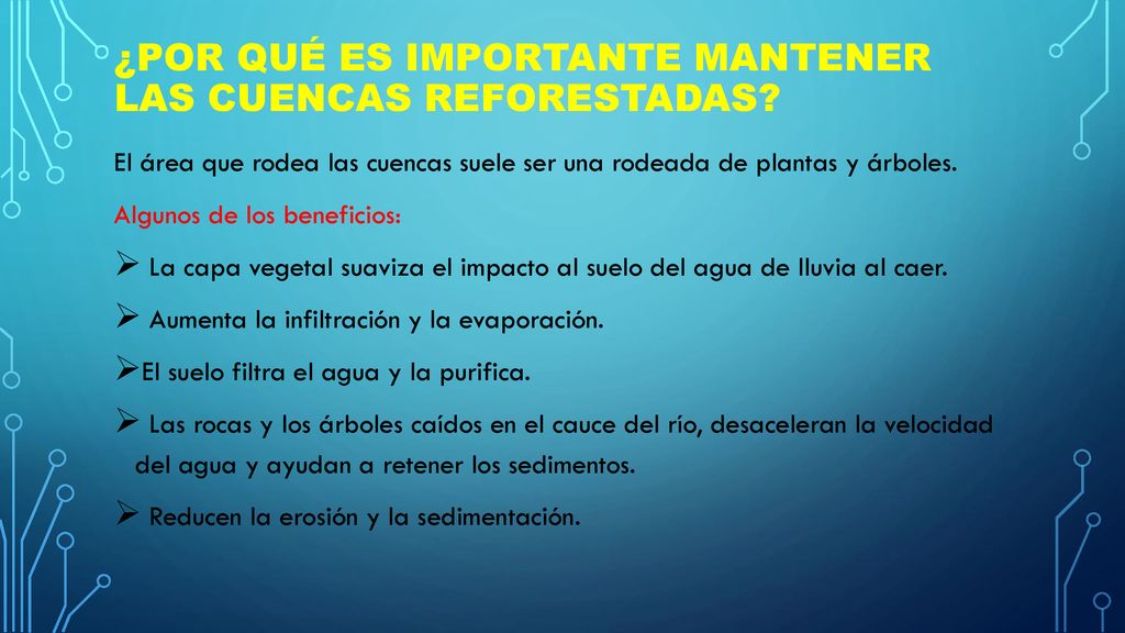 ¿Por qué es importante mantener las cuencas reforestadas