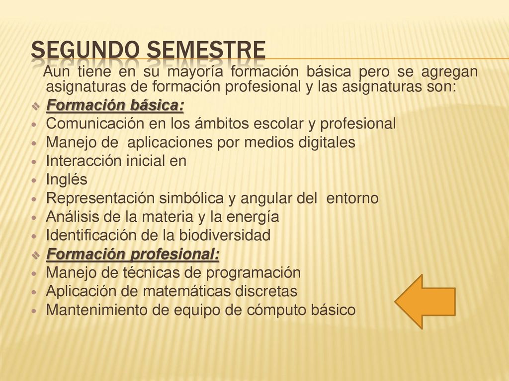 Segundo semestre Aun tiene en su mayoría formación básica pero se agregan asignaturas de formación profesional y las asignaturas son: