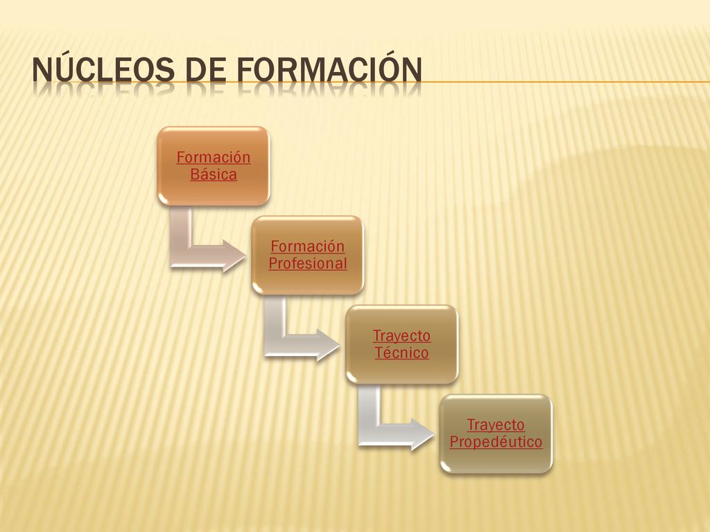 Núcleos de formación Formación Básica Formación Profesional