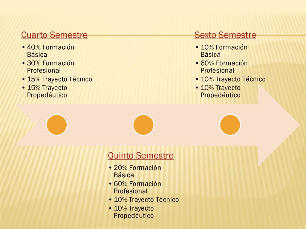 Cuarto Semestre Quinto Semestre Sexto Semestre 40% Formación Básica