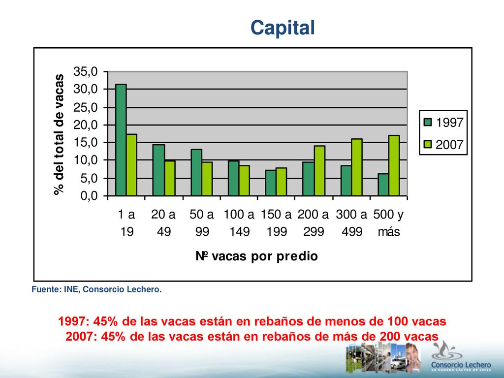 Capital 1997: 45% de las vacas están en rebaños de menos de 100 vacas