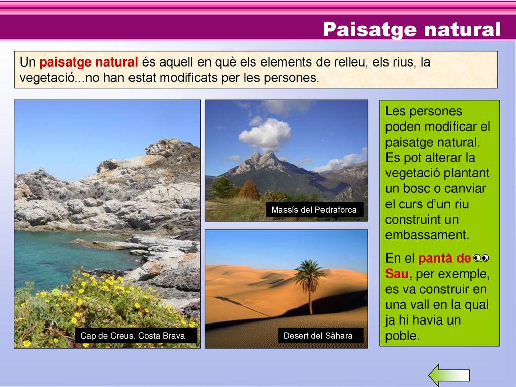 Paisatge natural Un paisatge natural és aquell en què els elements de relleu, els rius, la vegetació...no han estat modificats per les persones.