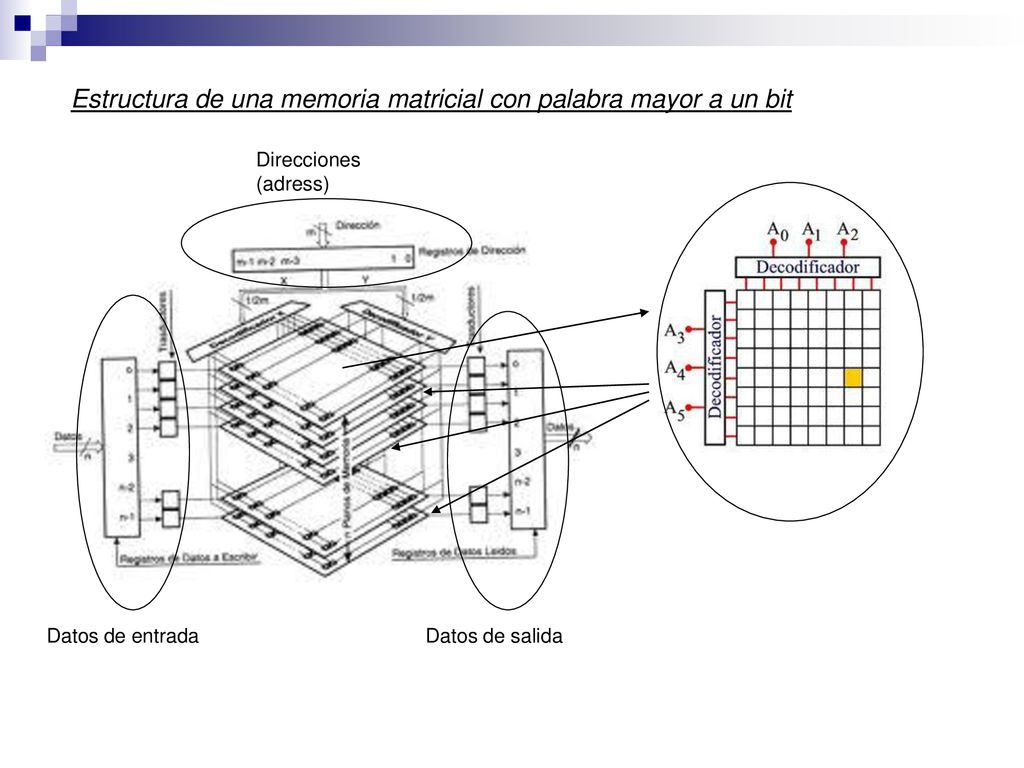 Estructura de una memoria matricial con palabra mayor a un bit