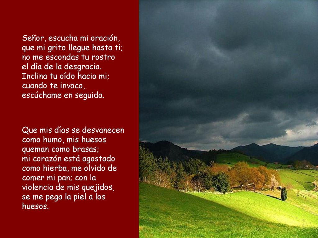 Señor, escucha mi oración, que mi grito llegue hasta ti; no me escondas tu rostro el día de la desgracia. Inclina tu oído hacia mi; cuando te invoco, escúchame en seguida.