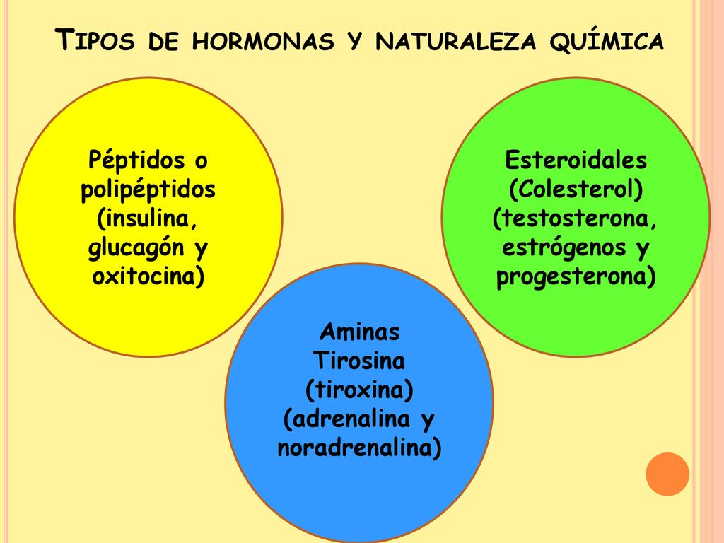 Tipos de hormonas y naturaleza química