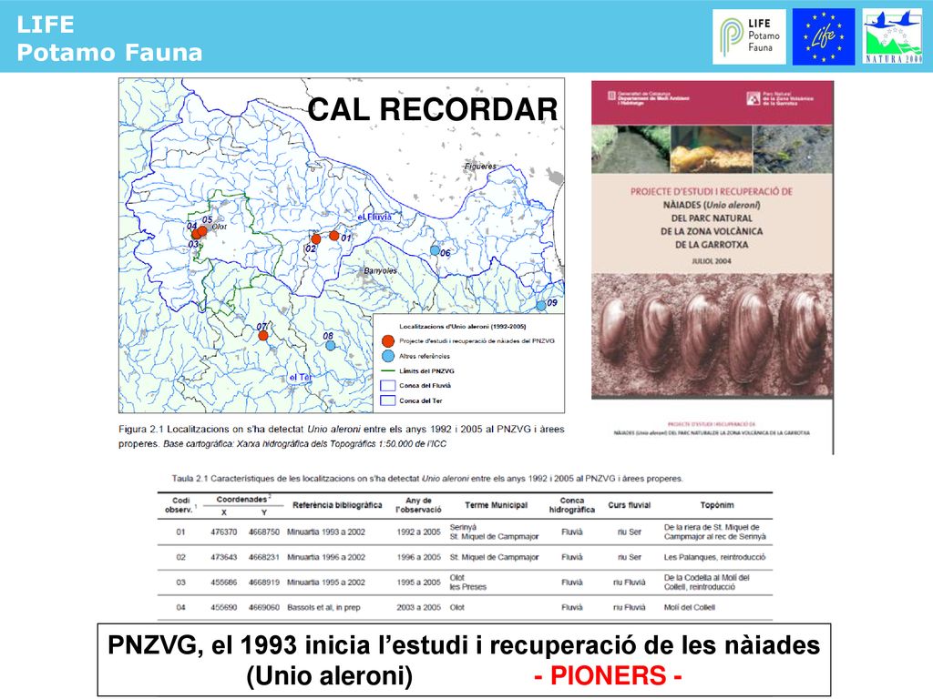 LIFE Potamo Fauna. CAL RECORDAR. PNZVG, el 1993 inicia l’estudi i recuperació de les nàiades.