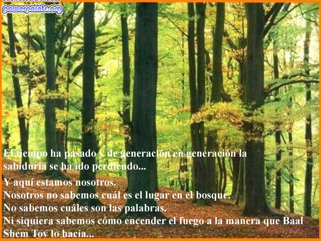 El tiempo ha pasado y de generación en generación la sabiduría se ha ido perdiendo...