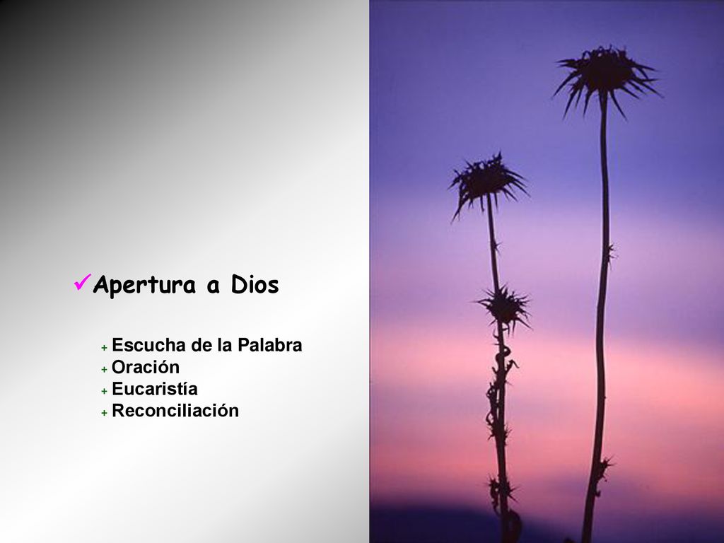 Apertura a Dios + Escucha de la Palabra + Oración + Eucaristía