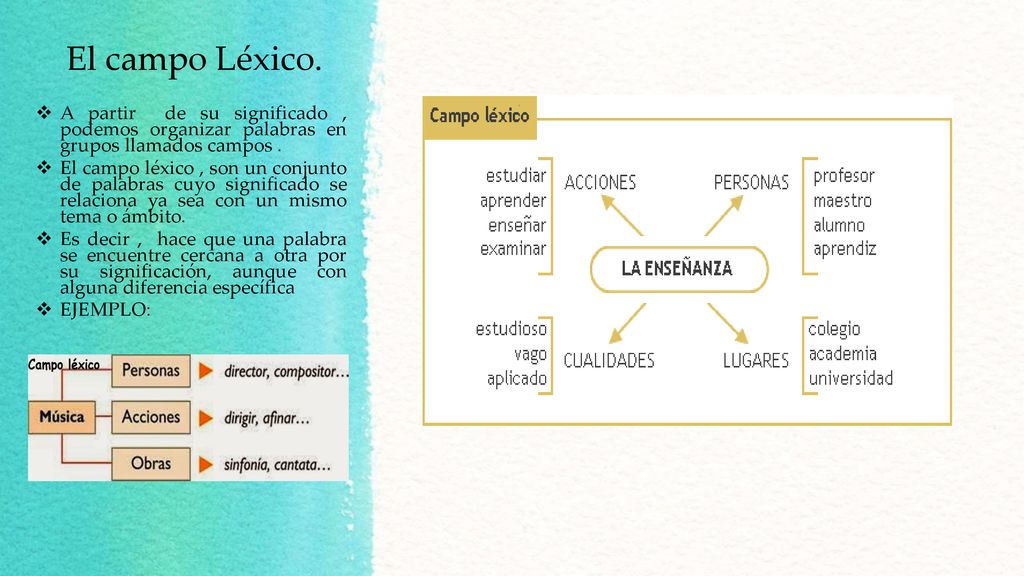 El campo Léxico. A partir de su significado , podemos organizar palabras en grupos llamados campos .
