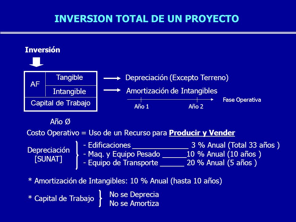 INVERSION TOTAL DE UN PROYECTO