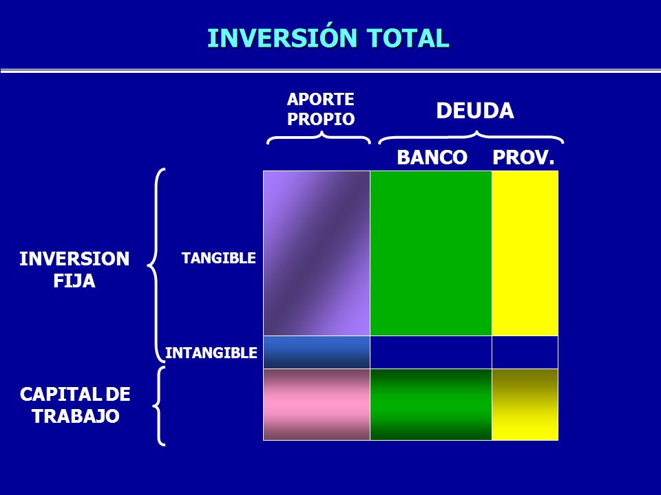 INVERSIÓN TOTAL DEUDA BANCO PROV. INVERSION FIJA CAPITAL DE TRABAJO