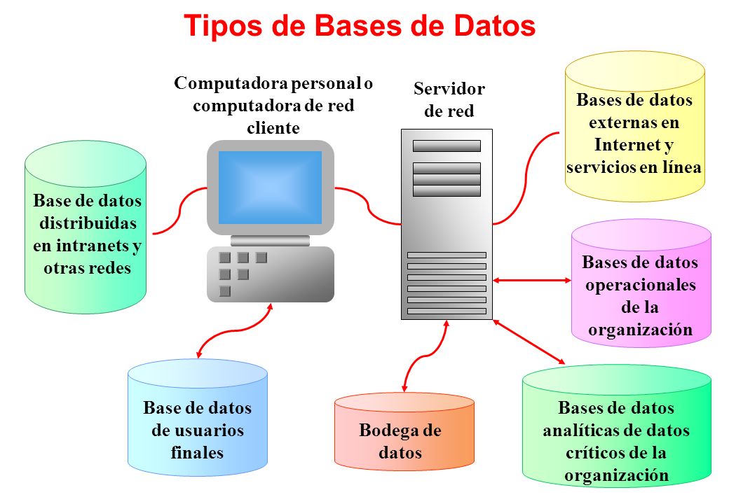 Tipos de Bases de Datos Bases de datos externas en Internet y servicios en línea. Computadora personal o computadora de red cliente.