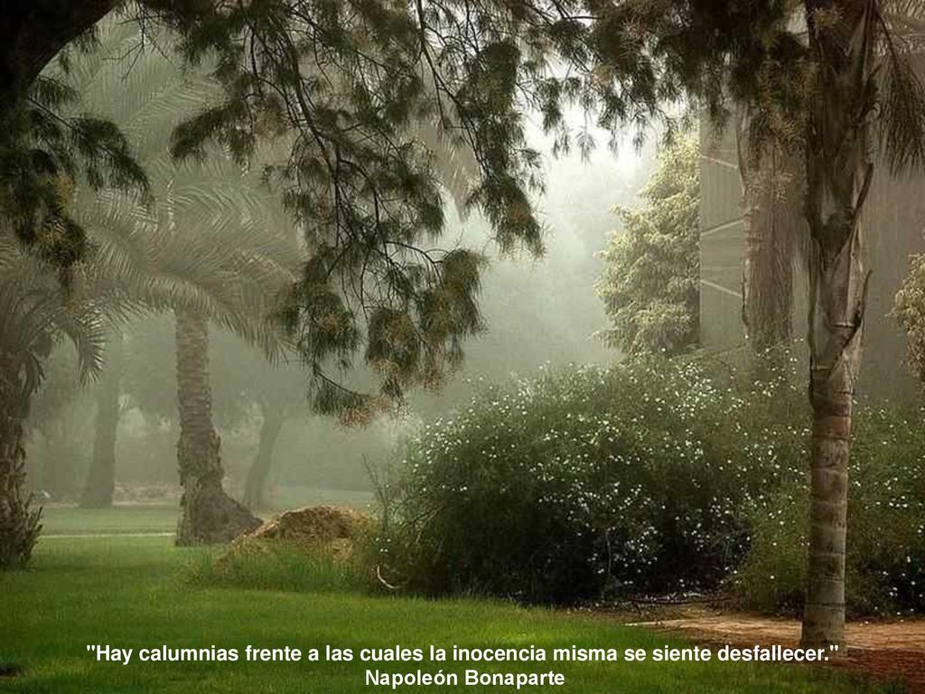 Hay calumnias frente a las cuales la inocencia misma se siente desfallecer.