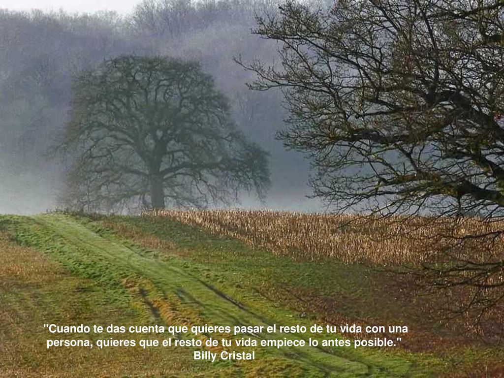 Cuando te das cuenta que quieres pasar el resto de tu vida con una persona, quieres que el resto de tu vida empiece lo antes posible.
