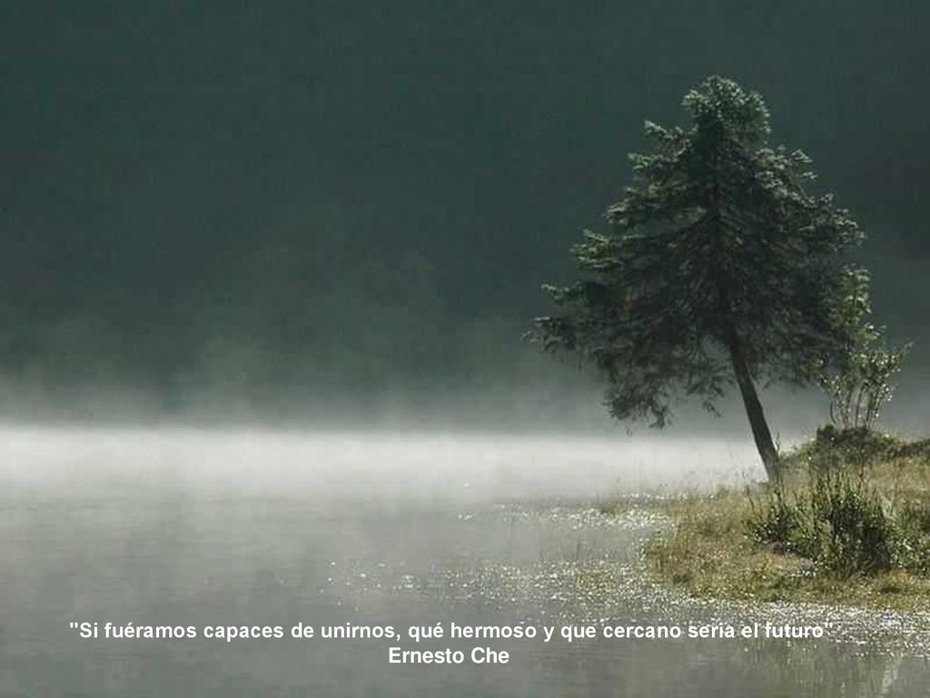 Si fuéramos capaces de unirnos, qué hermoso y que cercano seria el futuro