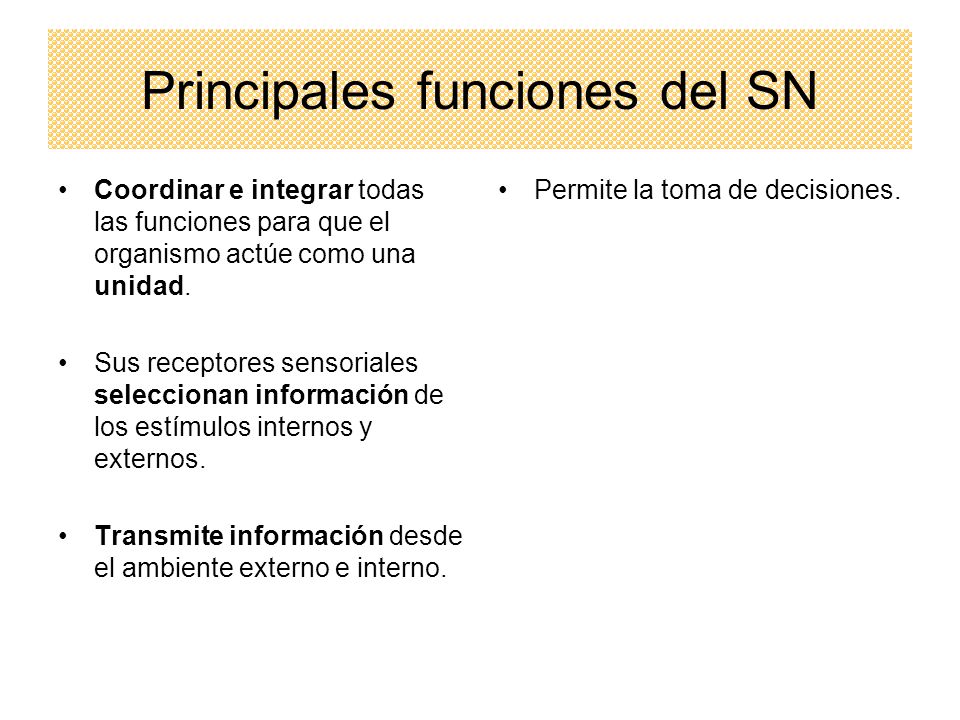 Principales funciones del SN