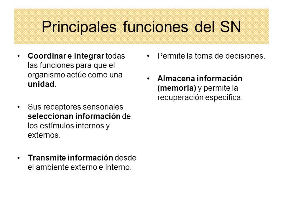 Principales funciones del SN