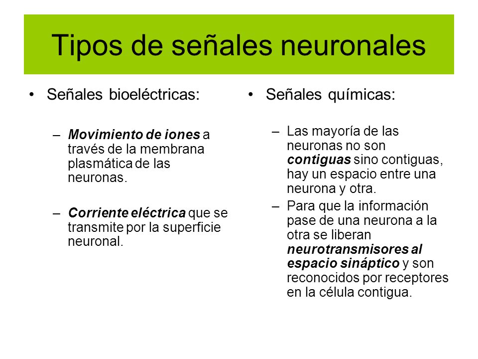 Tipos de señales neuronales