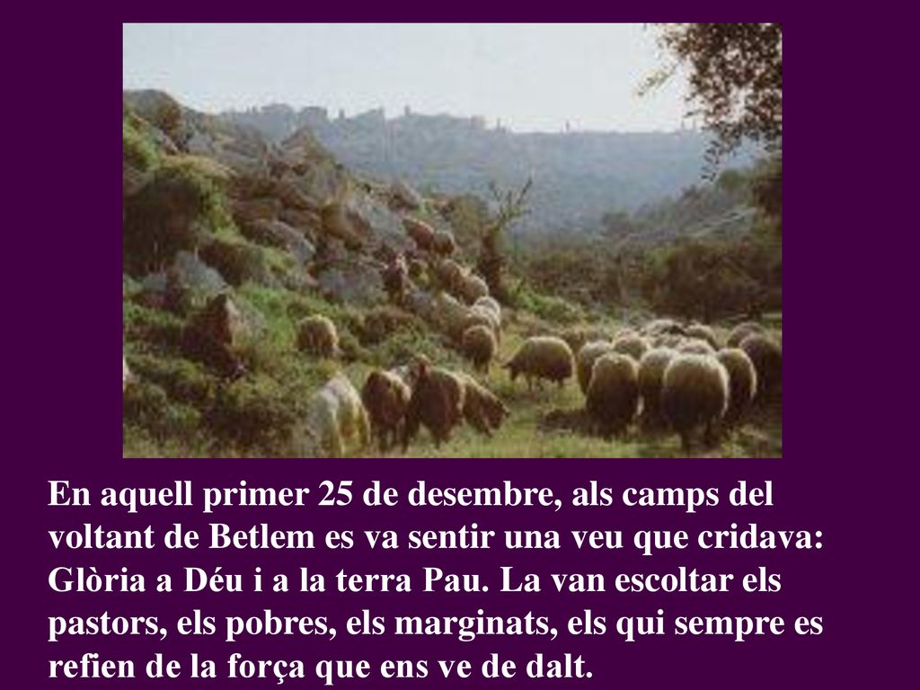 En aquell primer 25 de desembre, als camps del voltant de Betlem es va sentir una veu que cridava: Glòria a Déu i a la terra Pau.