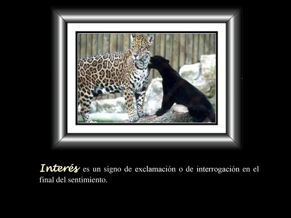 Interés es un signo de exclamación o de interrogación en el final del sentimiento.