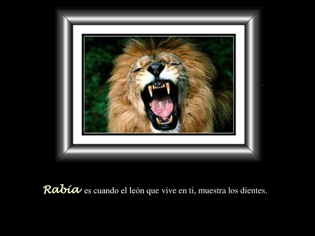 Rabia es cuando el león que vive en ti, muestra los dientes.