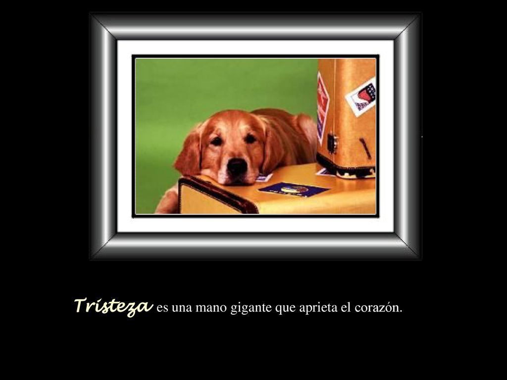 Tristeza es una mano gigante que aprieta el corazón.