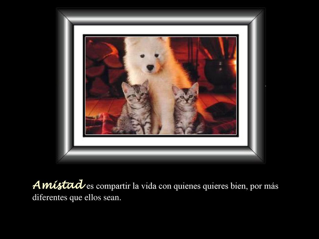 Amistad es compartir la vida con quienes quieres bien, por más diferentes que ellos sean.