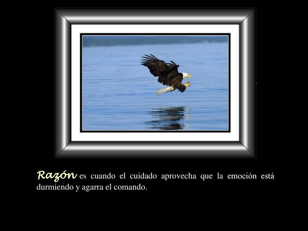 Razón es cuando el cuidado aprovecha que la emoción está durmiendo y agarra el comando.