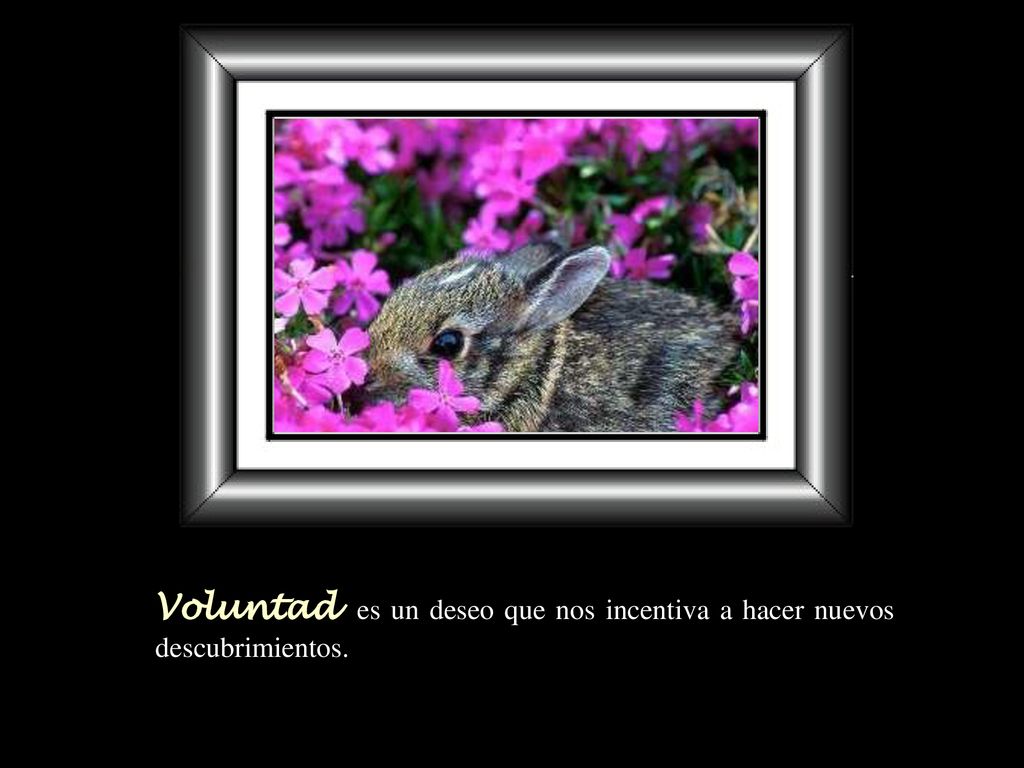 Voluntad es un deseo que nos incentiva a hacer nuevos descubrimientos.