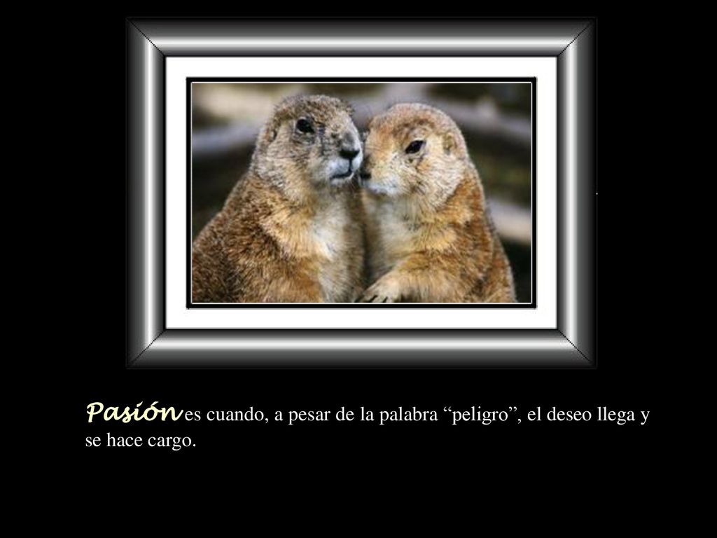 Pasión es cuando, a pesar de la palabra peligro , el deseo llega y se hace cargo.