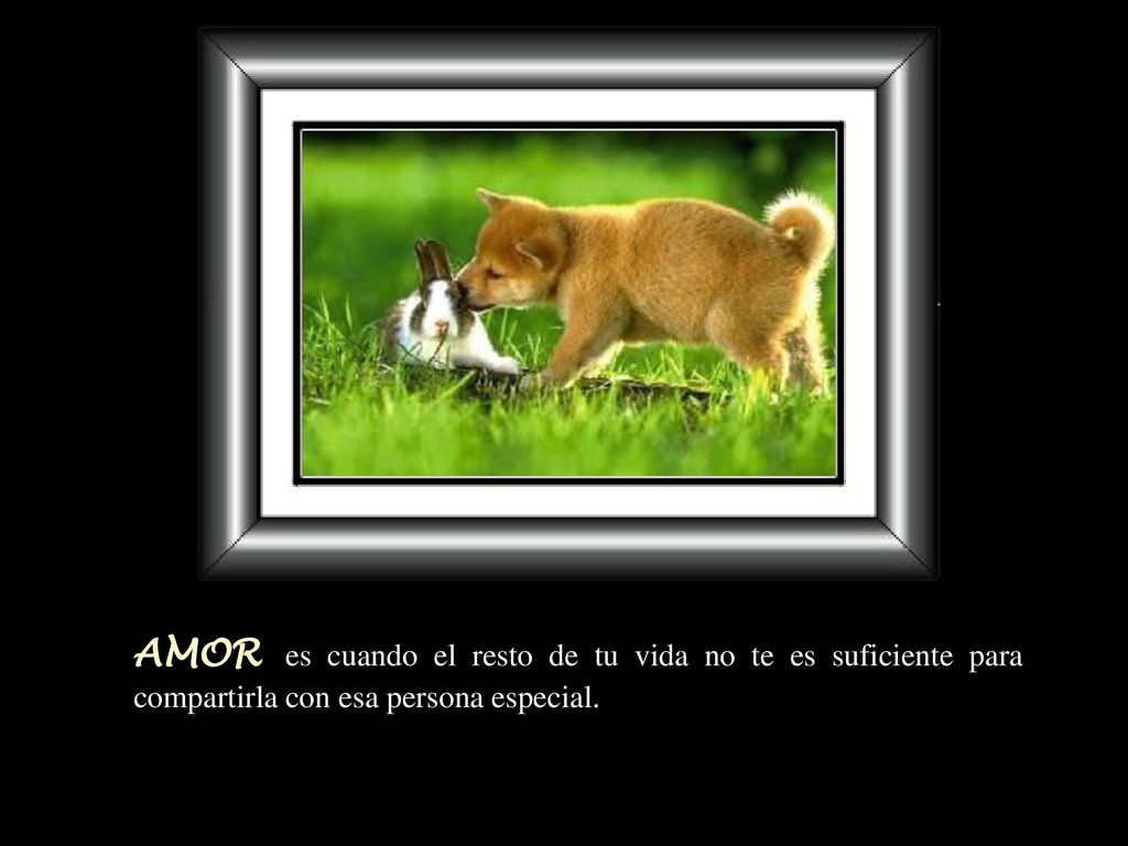 AMOR es cuando el resto de tu vida no te es suficiente para compartirla con esa persona especial.