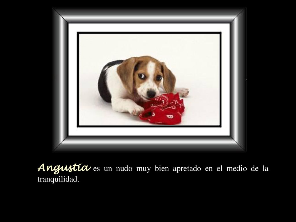 Angustia es un nudo muy bien apretado en el medio de la tranquilidad.