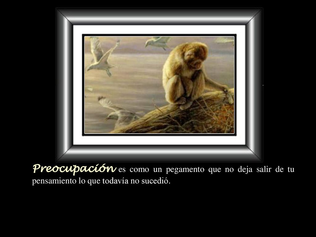 Preocupación es como un pegamento que no deja salir de tu pensamiento lo que todavía no sucedió.