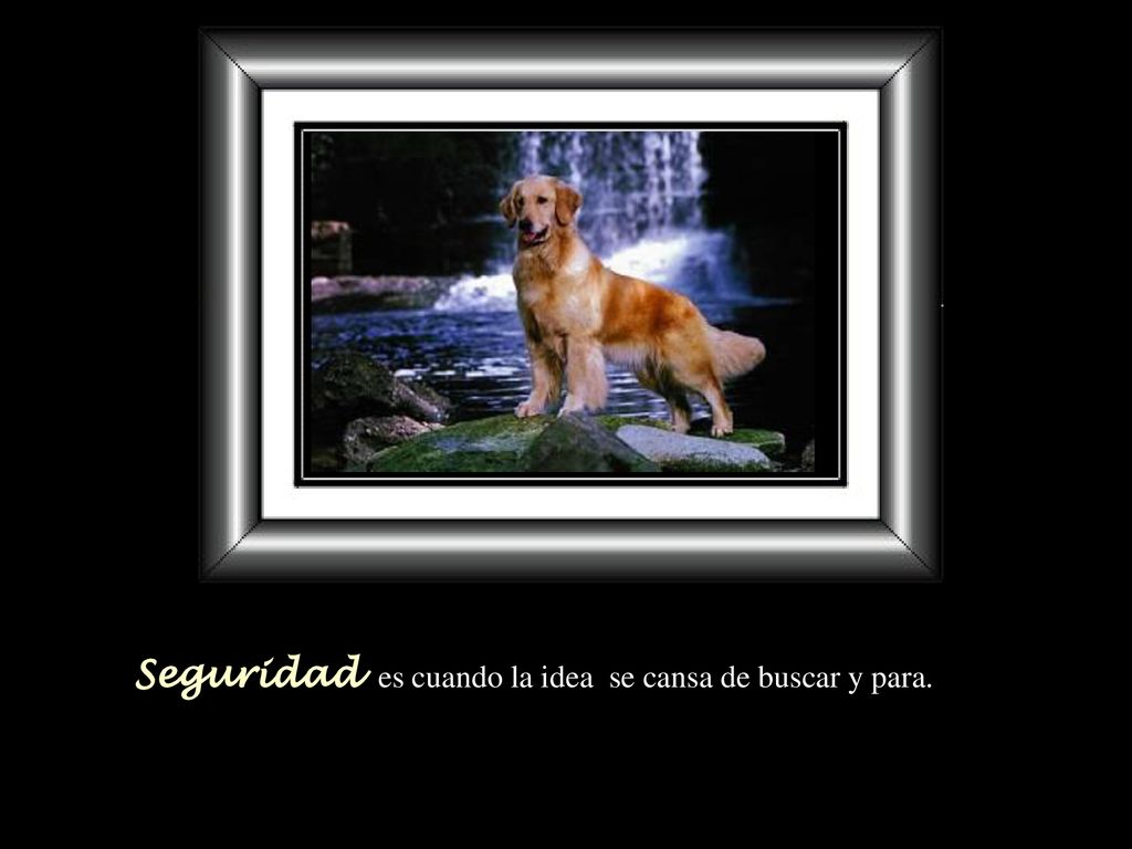 Seguridad es cuando la idea se cansa de buscar y para.