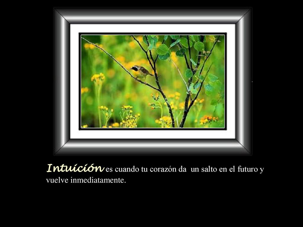 Intuición es cuando tu corazón da un salto en el futuro y vuelve inmediatamente.