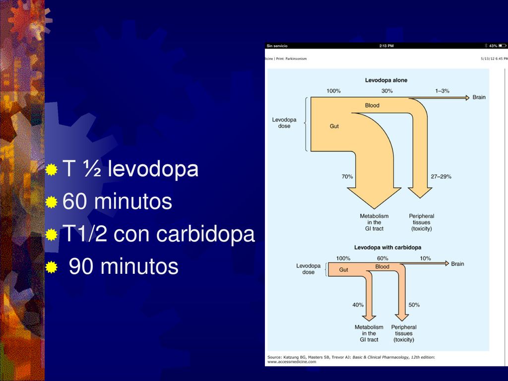 T ½ levodopa 60 minutos T1/2 con carbidopa 90 minutos