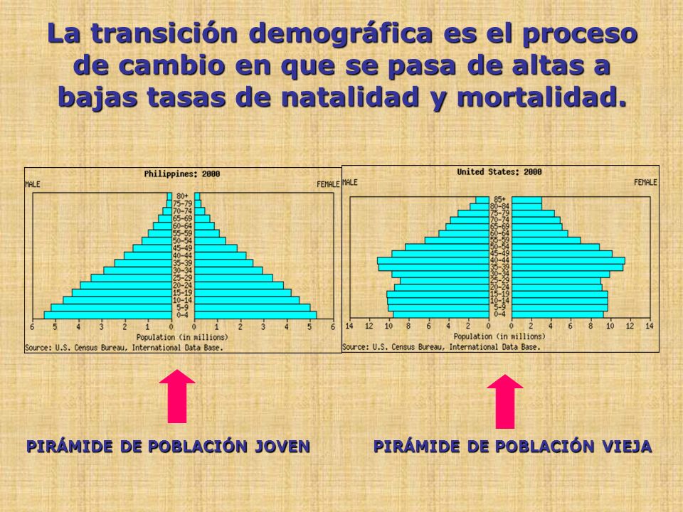 La transición demográfica es el proceso de cambio en que se pasa de altas a bajas tasas de natalidad y mortalidad.