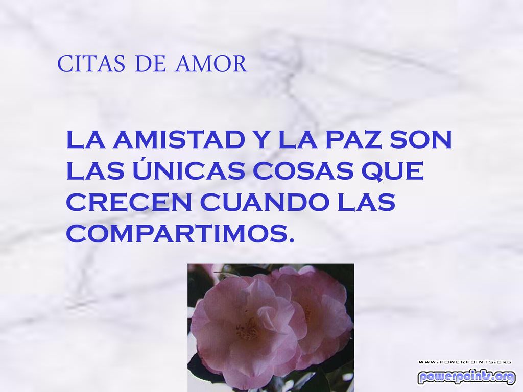 CITAS DE AMOR LA AMISTAD Y LA PAZ SON LAS ÚNICAS COSAS QUE