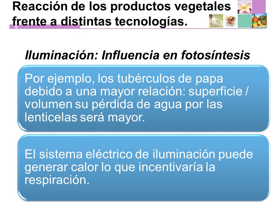 Reacción de los productos vegetales frente a distintas tecnologías.