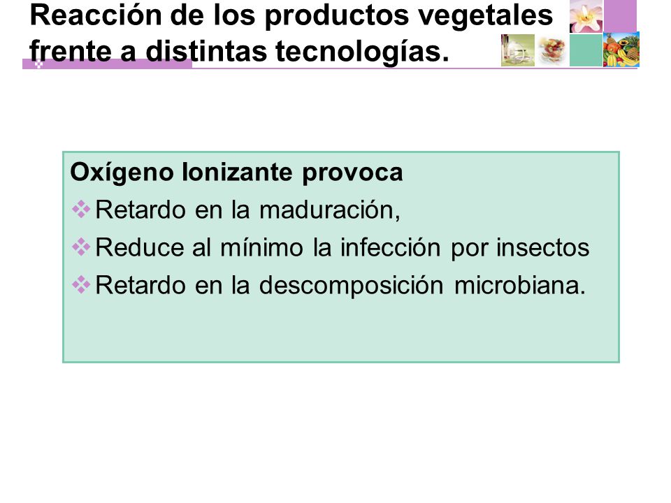 Reacción de los productos vegetales frente a distintas tecnologías.