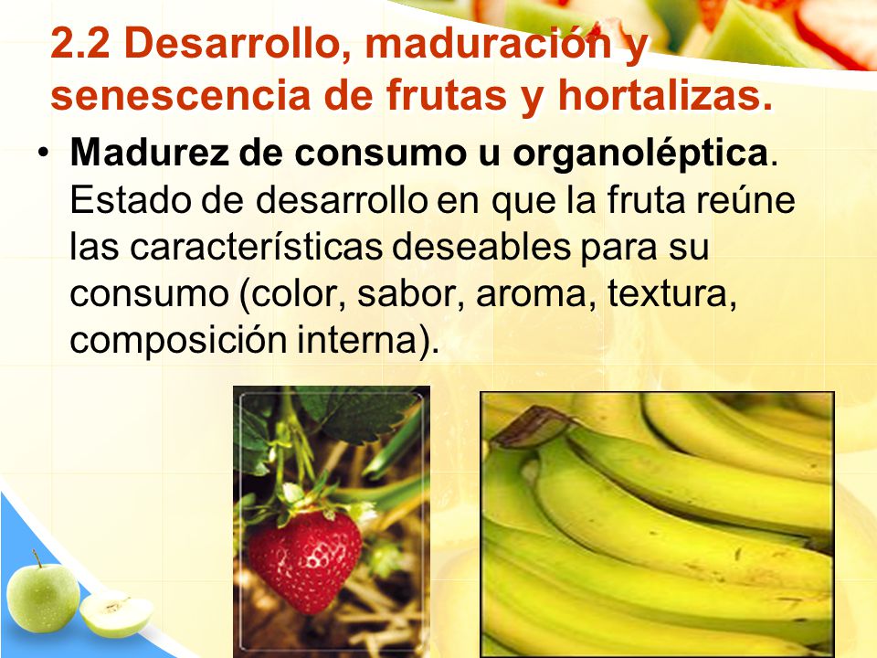 2.2 Desarrollo, maduración y senescencia de frutas y hortalizas.