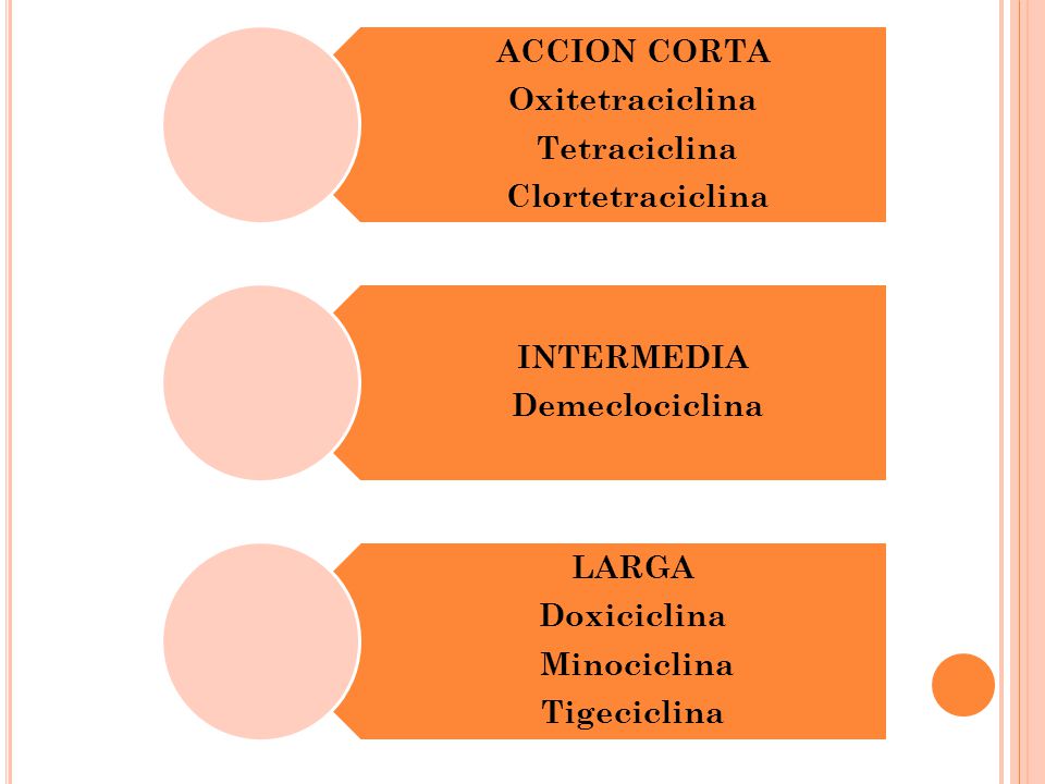 ACCION CORTA Oxitetraciclina. Tetraciclina. Clortetraciclina. INTERMEDIA. Demeclociclina. LARGA.
