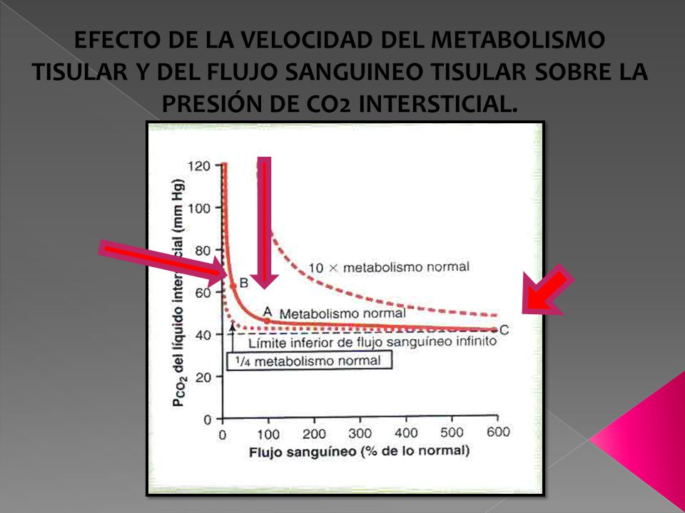 EFECTO DE LA VELOCIDAD DEL METABOLISMO TISULAR Y DEL FLUJO SANGUINEO TISULAR SOBRE LA PRESIÓN DE CO2 INTERSTICIAL.