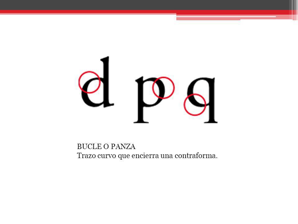BUCLE O PANZA Trazo curvo que encierra una contraforma.