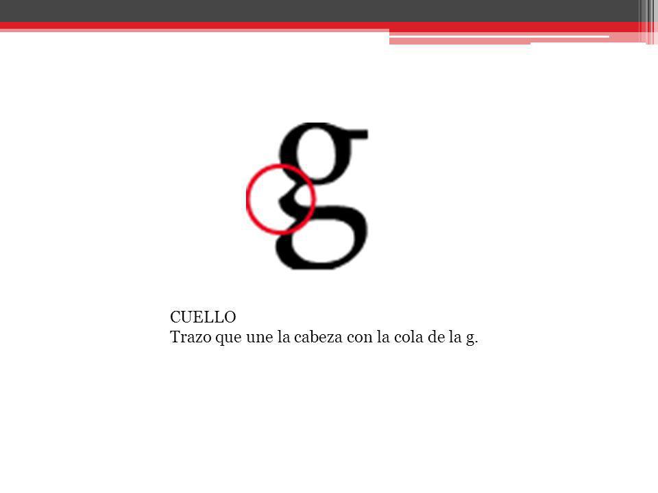 CUELLO Trazo que une la cabeza con la cola de la g.