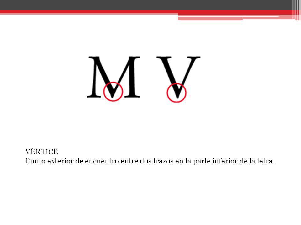 VÉRTICE Punto exterior de encuentro entre dos trazos en la parte inferior de la letra.
