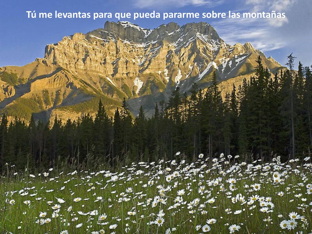 Tú me levantas para que pueda pararme sobre las montañas