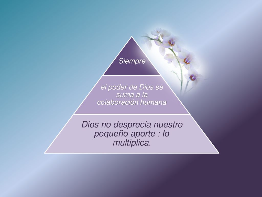 Dios no desprecia nuestro pequeño aporte : lo multiplica.