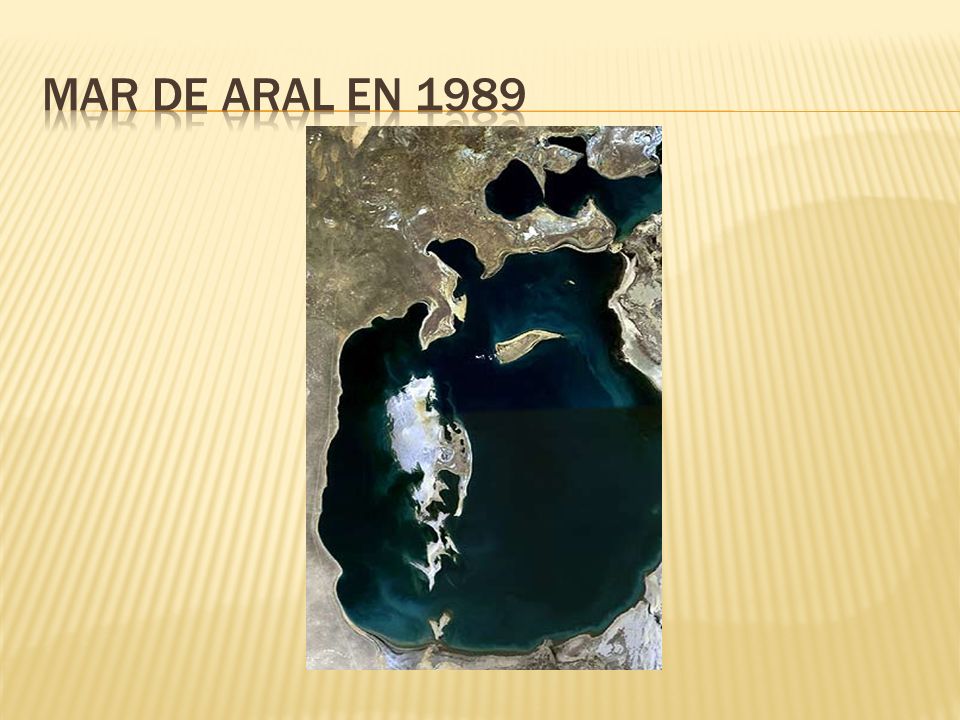 Mar de aral en 1989