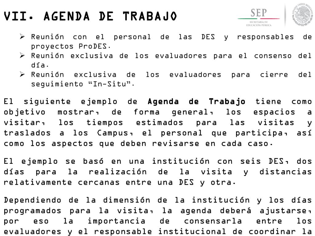 VII. AGENDA DE TRABAJO Reunión con el personal de las DES y responsables de proyectos ProDES.